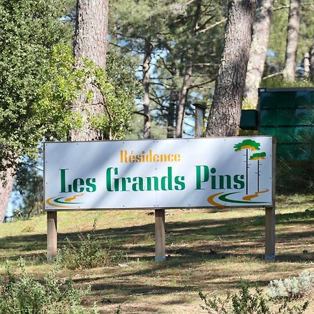 Apt Les Grands Pins, Entre Foret, Lac Et Ocean Carcans Εξωτερικό φωτογραφία