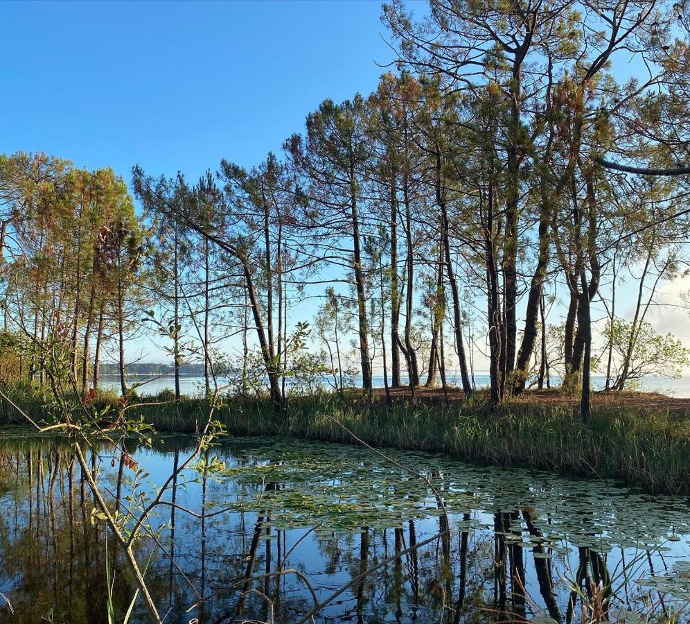 Apt Les Grands Pins, Entre Foret, Lac Et Ocean Carcans Εξωτερικό φωτογραφία