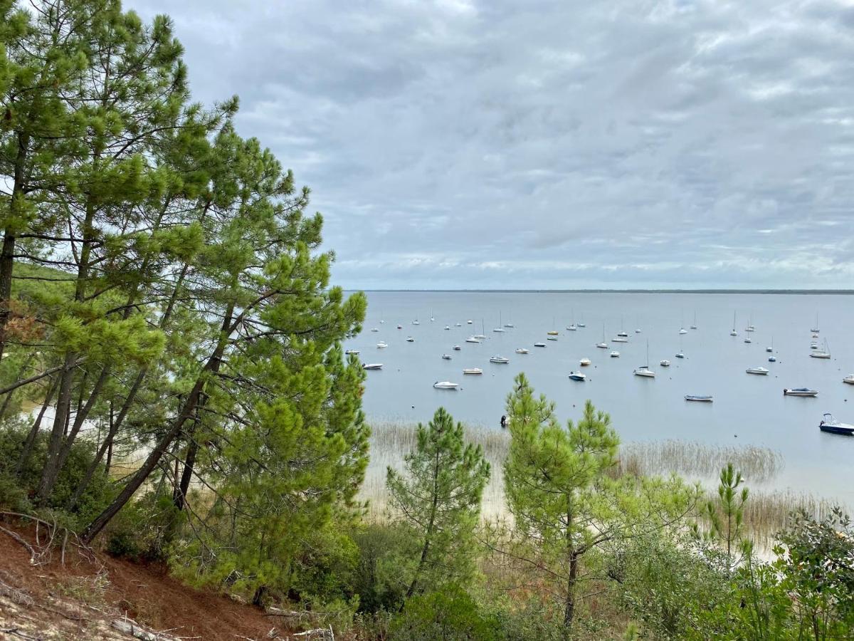 Apt Les Grands Pins, Entre Foret, Lac Et Ocean Carcans Εξωτερικό φωτογραφία