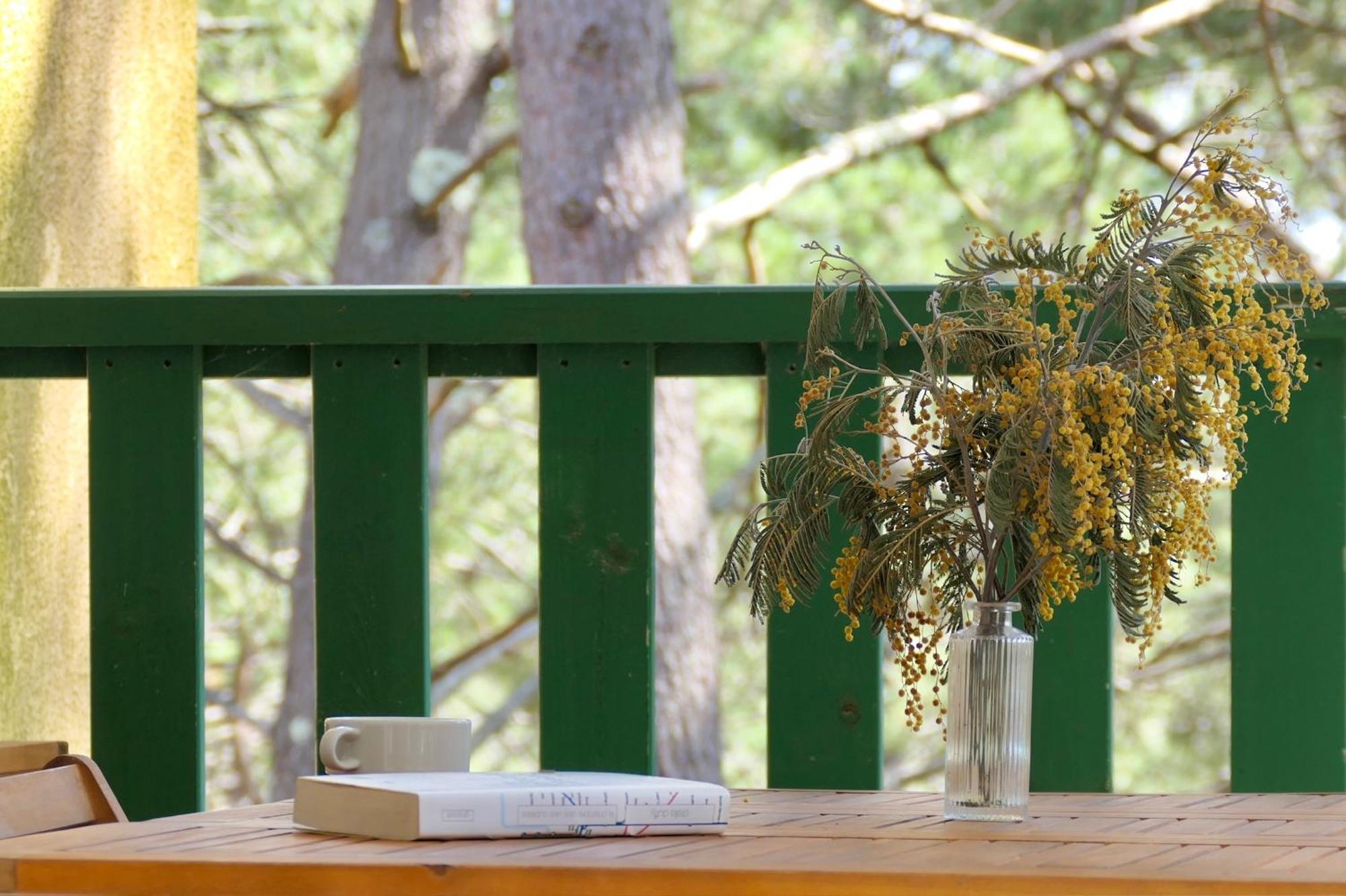 Apt Les Grands Pins, Entre Foret, Lac Et Ocean Carcans Εξωτερικό φωτογραφία