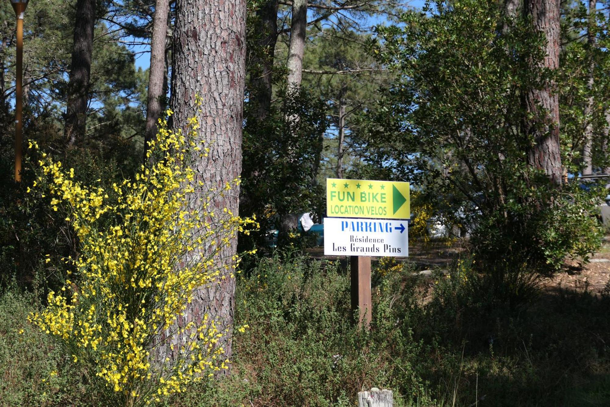 Apt Les Grands Pins, Entre Foret, Lac Et Ocean Carcans Εξωτερικό φωτογραφία